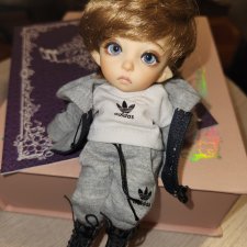 Продам пукифи Кони ( Pukifee Cony)