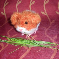 Шуша--моя авторская свинка