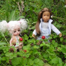 Мы в чужом садочке фоткали цветочки