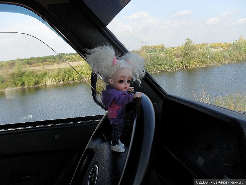 Ура! Грибалка — Разные шарнирные куклы (не БЖД): редкие