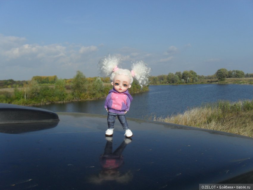 Ура! Грибалка — Разные шарнирные куклы (не БЖД): редкие (фото 4)