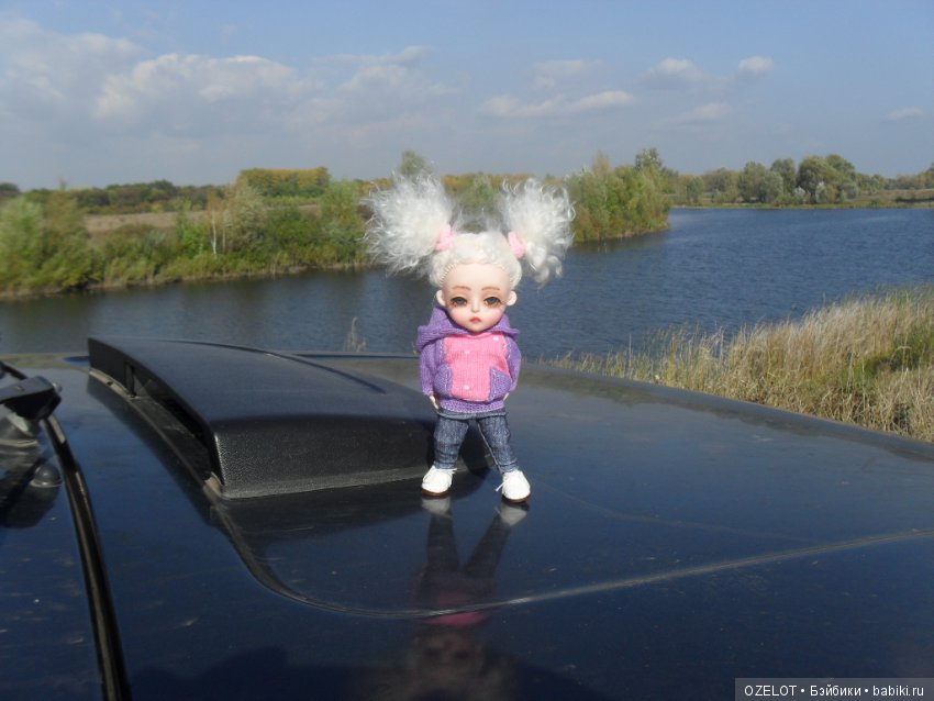 Ура! Грибалка — Разные шарнирные куклы (не БЖД): редкие (фото 3)