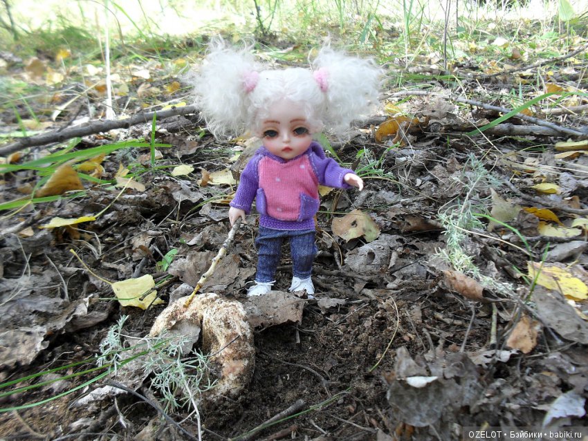 Ура! Грибалка — Разные шарнирные куклы (не БЖД): редкие (фото 10)