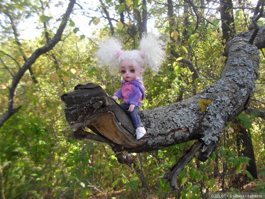 Ура! Грибалка — Разные шарнирные куклы (не БЖД): редкие (фото 7)