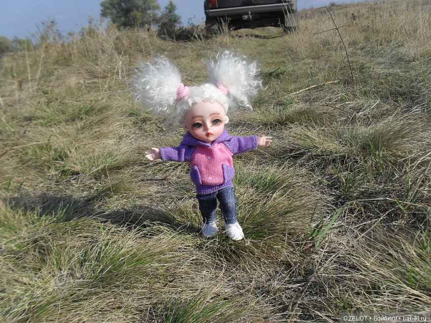 Ура! Грибалка — Разные шарнирные куклы (не БЖД): редкие (фото 2)