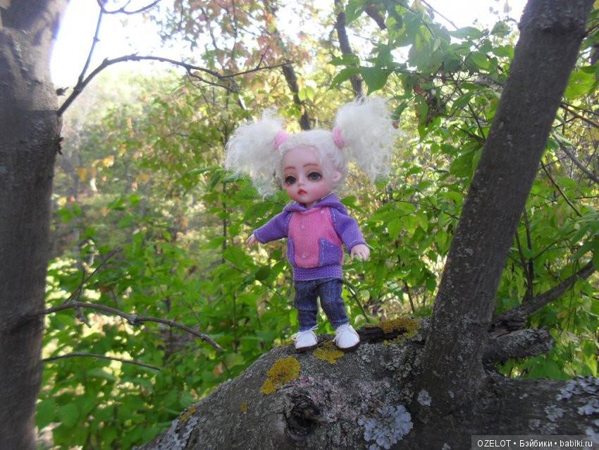 Ура! Грибалка — Разные шарнирные куклы (не БЖД): редкие (фото 6)