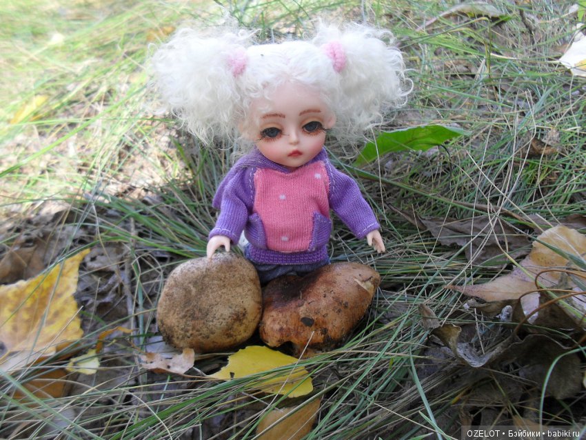 Ура! Грибалка — Разные шарнирные куклы (не БЖД): редкие