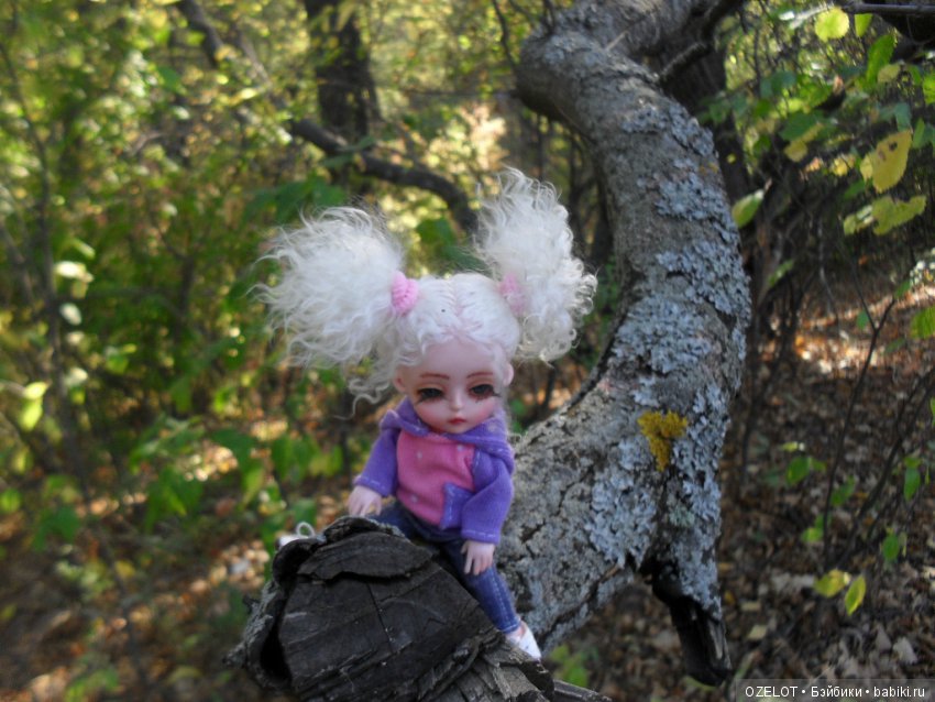 Ура! Грибалка — Разные шарнирные куклы (не БЖД): редкие (фото 8)