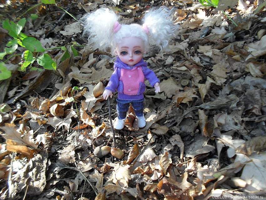 Ура! Грибалка — Разные шарнирные куклы (не БЖД): редкие (фото 5)