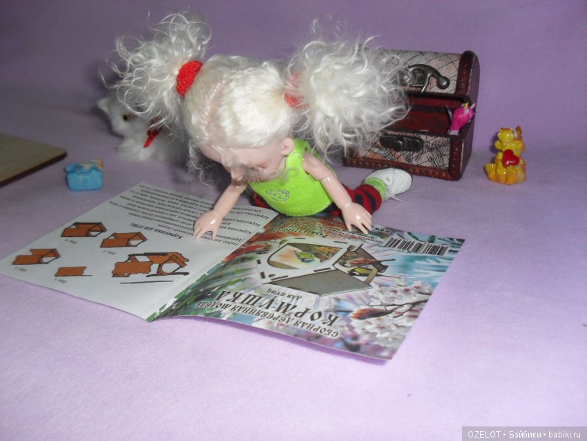 Кормушка, часть 1 — Разные шарнирные куклы (не БЖД): редкие (фото 5)