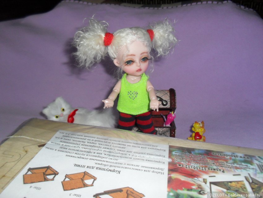 Кормушка, часть 1 — Разные шарнирные куклы (не БЖД): редкие (фото 4)