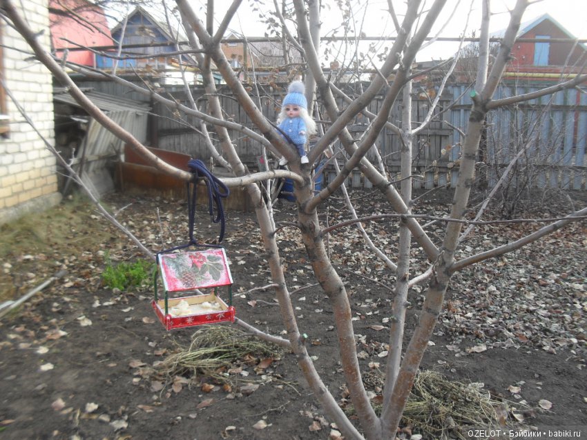 Кормушка. Часть 2, заключительная