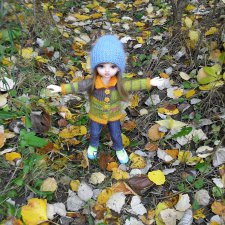 Синичка на воле