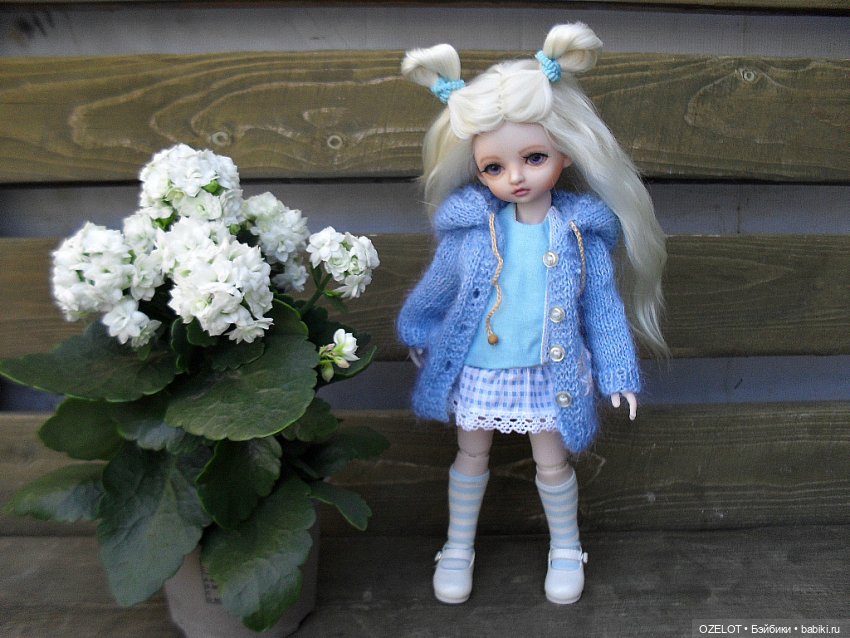 Новый образ для Синички — Разные шарнирные куклы (не БЖД): редкие (фото 3)