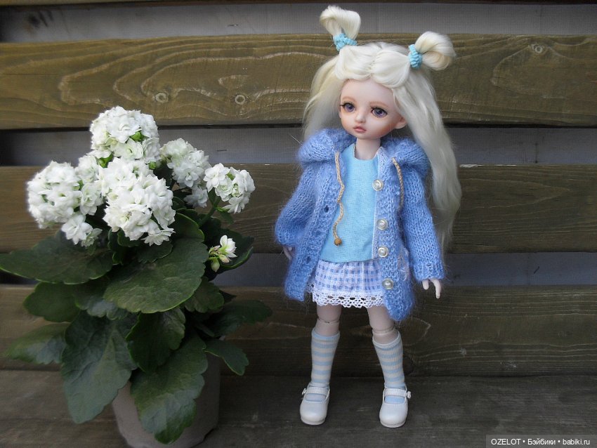 Новый образ для Синички — Разные шарнирные куклы (не БЖД): редкие