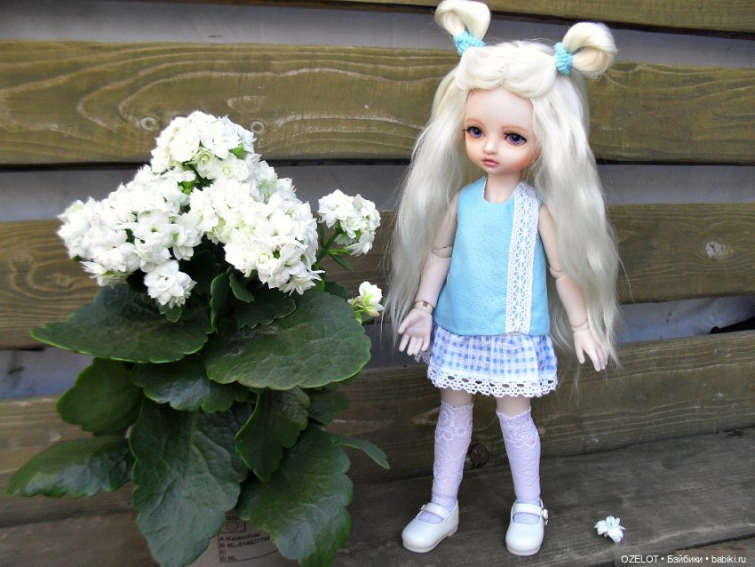 Новый образ для Синички — Разные шарнирные куклы (не БЖД): редкие (фото 4)