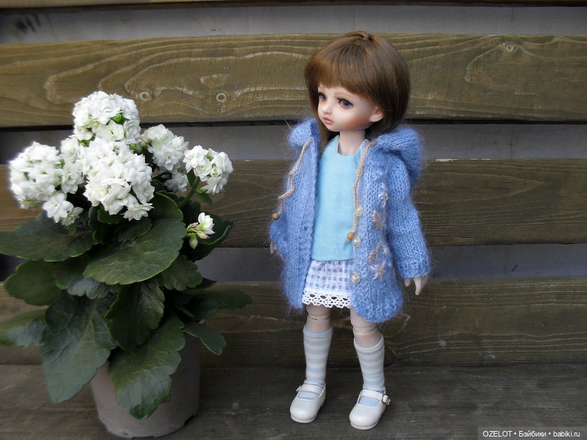 Новый образ для Синички — Разные шарнирные куклы (не БЖД): редкие (фото 8)