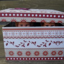 Кто, кто в коробочке живёт