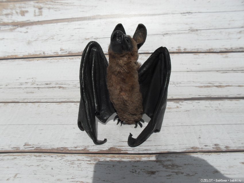 Участие в проекте " Дом Бабы Яги"