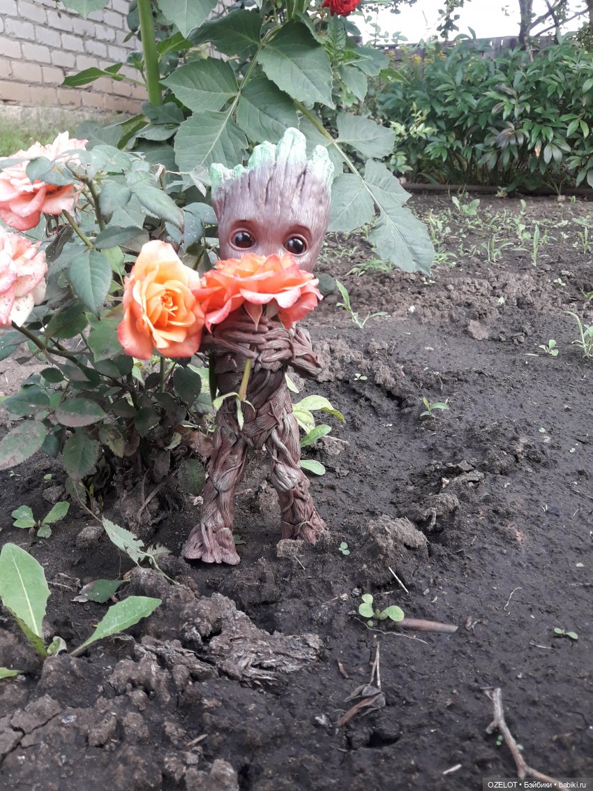 Я есть Грут — Разные шарнирные куклы (не БЖД): редкие (фото 3)