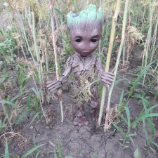 Я есть Грут !