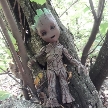 Грут в лесу