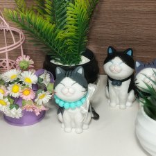 Аксессуары для Паола Рейна