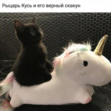 Вопрос про долстенд