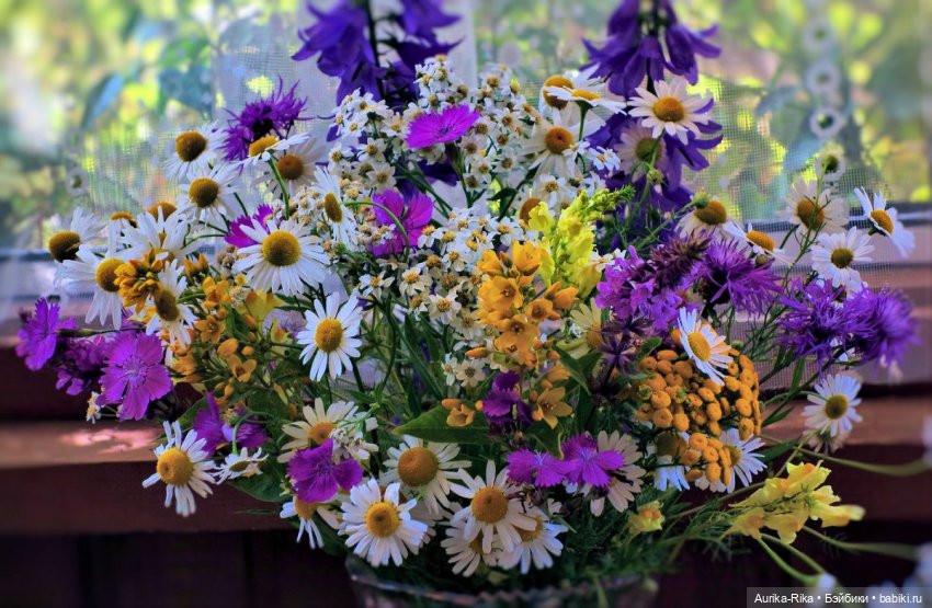 Оказывается в июне было уже четыре года как я здесь есть