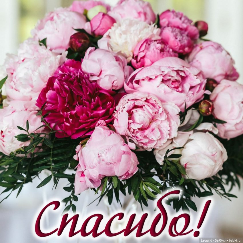 Озан. Вечеринка — Куклы Bratz (Братц) и Moxie Girlz: MGA