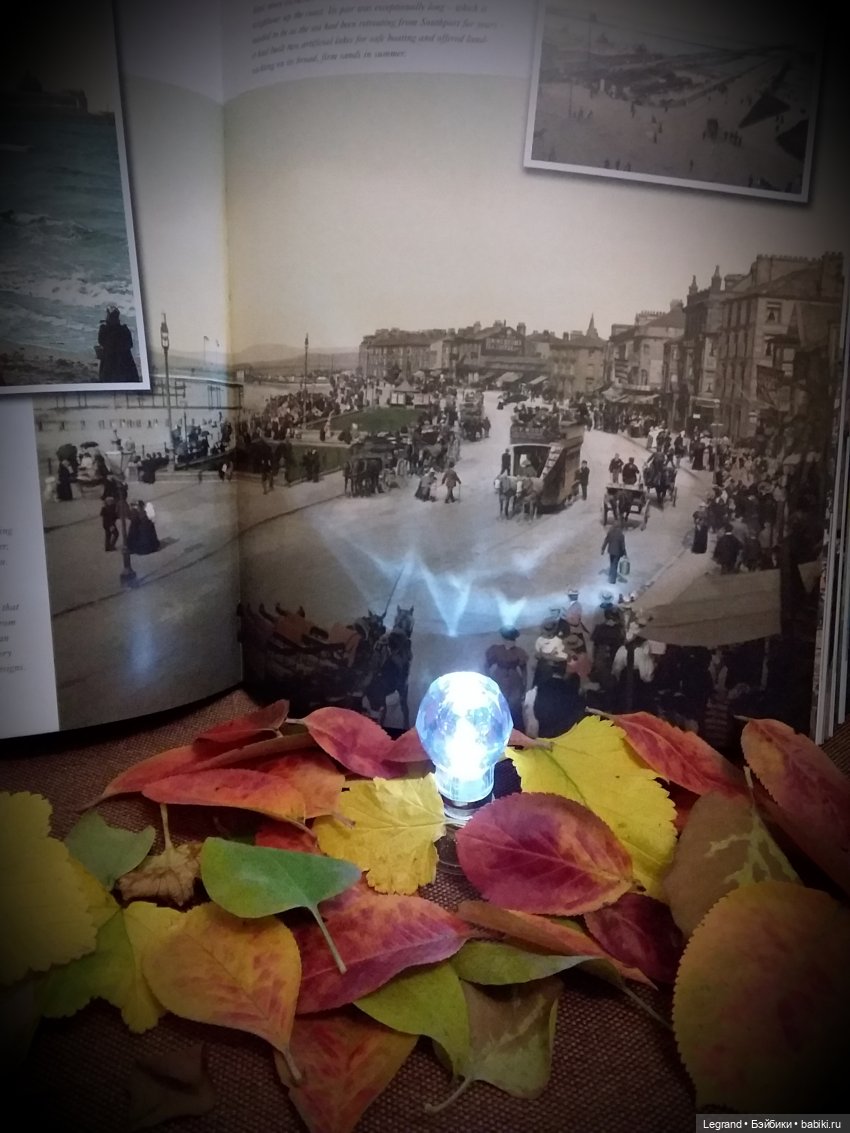 Лестат и Анаис в спектакле "Начнётся сентябрь..." | Бэйбики Лестат и Анаис в спектакле "Начнётся сентябрь..."