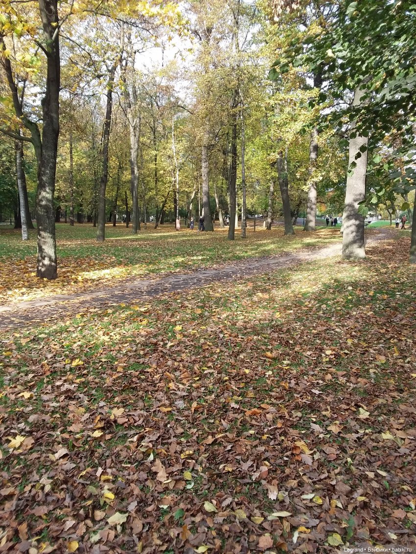 Амбруаз. Осенняя прогулка | Бэйбики Амбруаз. Осенняя прогулка (фото 5)