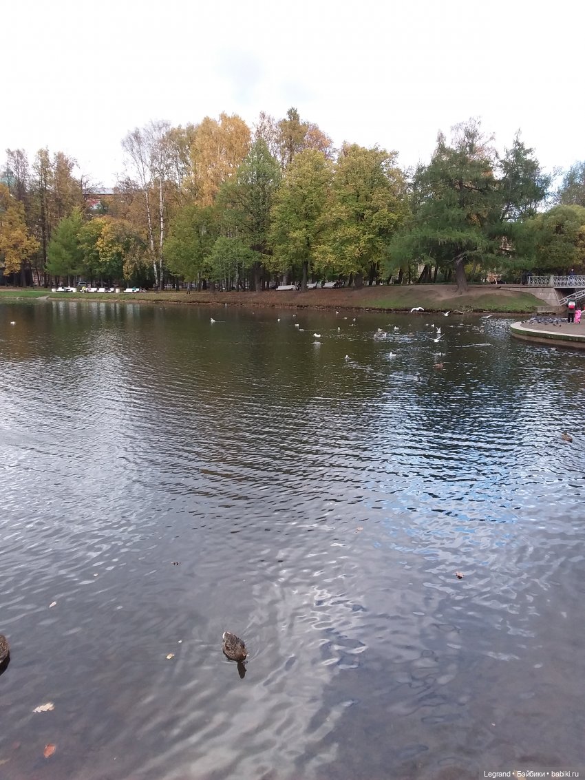 Амбруаз. Осенняя прогулка | Бэйбики Амбруаз. Осенняя прогулка