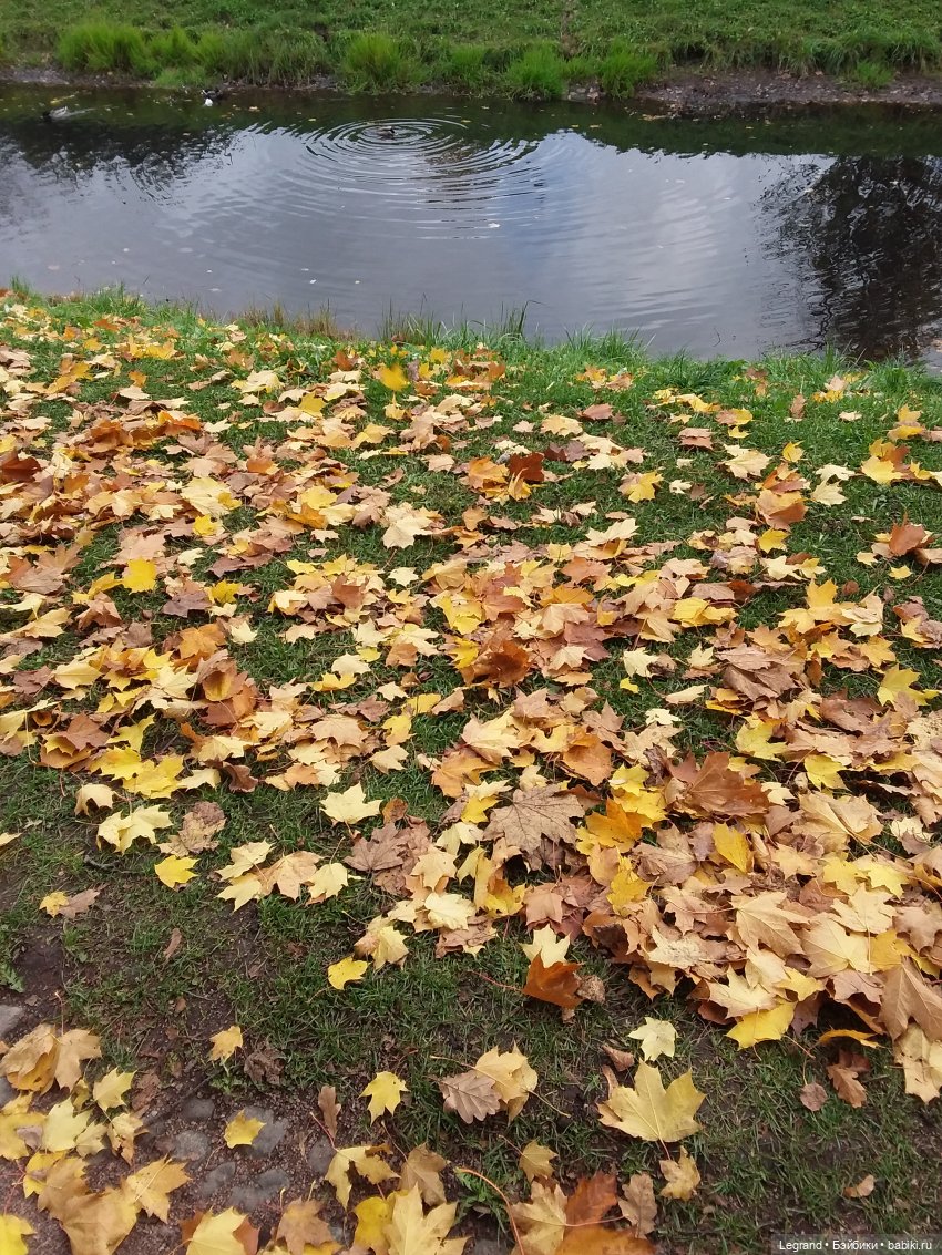 Амбруаз. Осенняя прогулка | Бэйбики Амбруаз. Осенняя прогулка (фото 8)