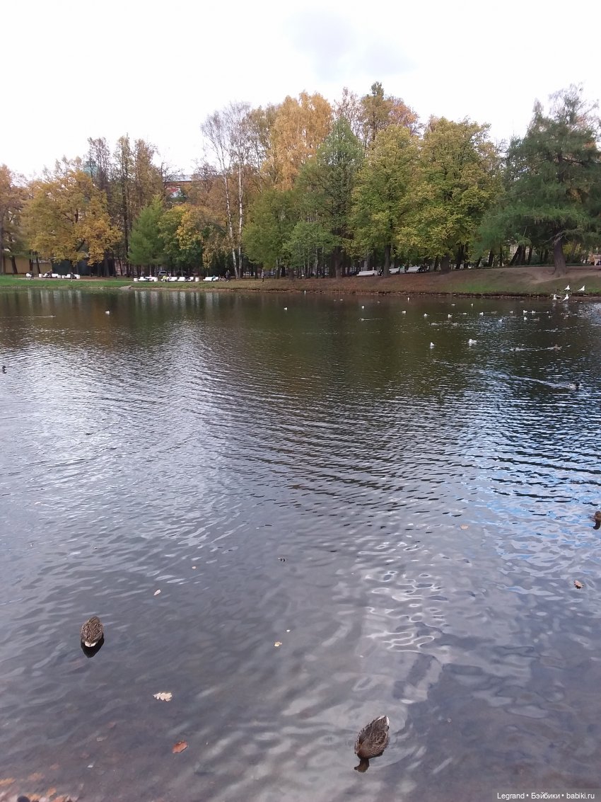 Амбруаз. Осенняя прогулка | Бэйбики Амбруаз. Осенняя прогулка