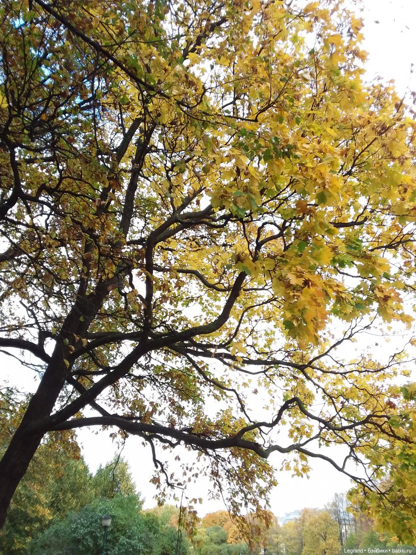 Амбруаз. Осенняя прогулка | Бэйбики Амбруаз. Осенняя прогулка (фото 9)