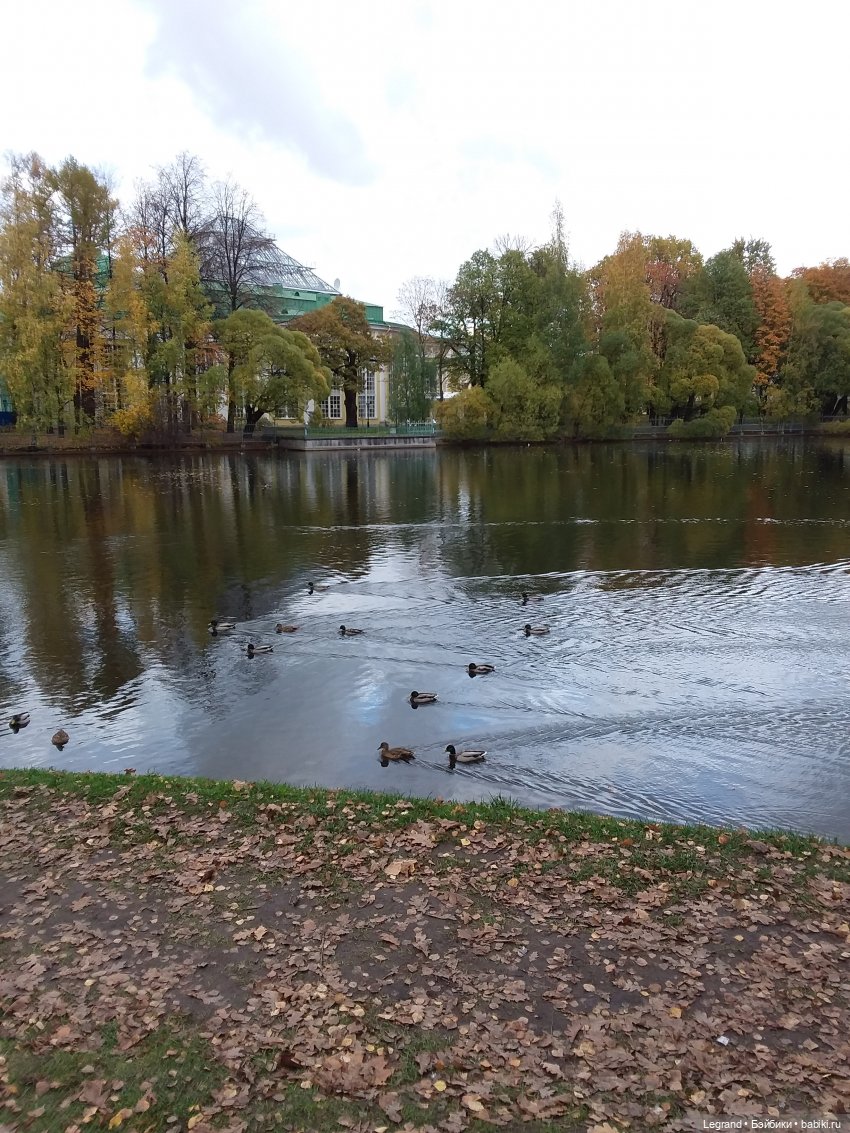 Амбруаз. Осенняя прогулка | Бэйбики Амбруаз. Осенняя прогулка