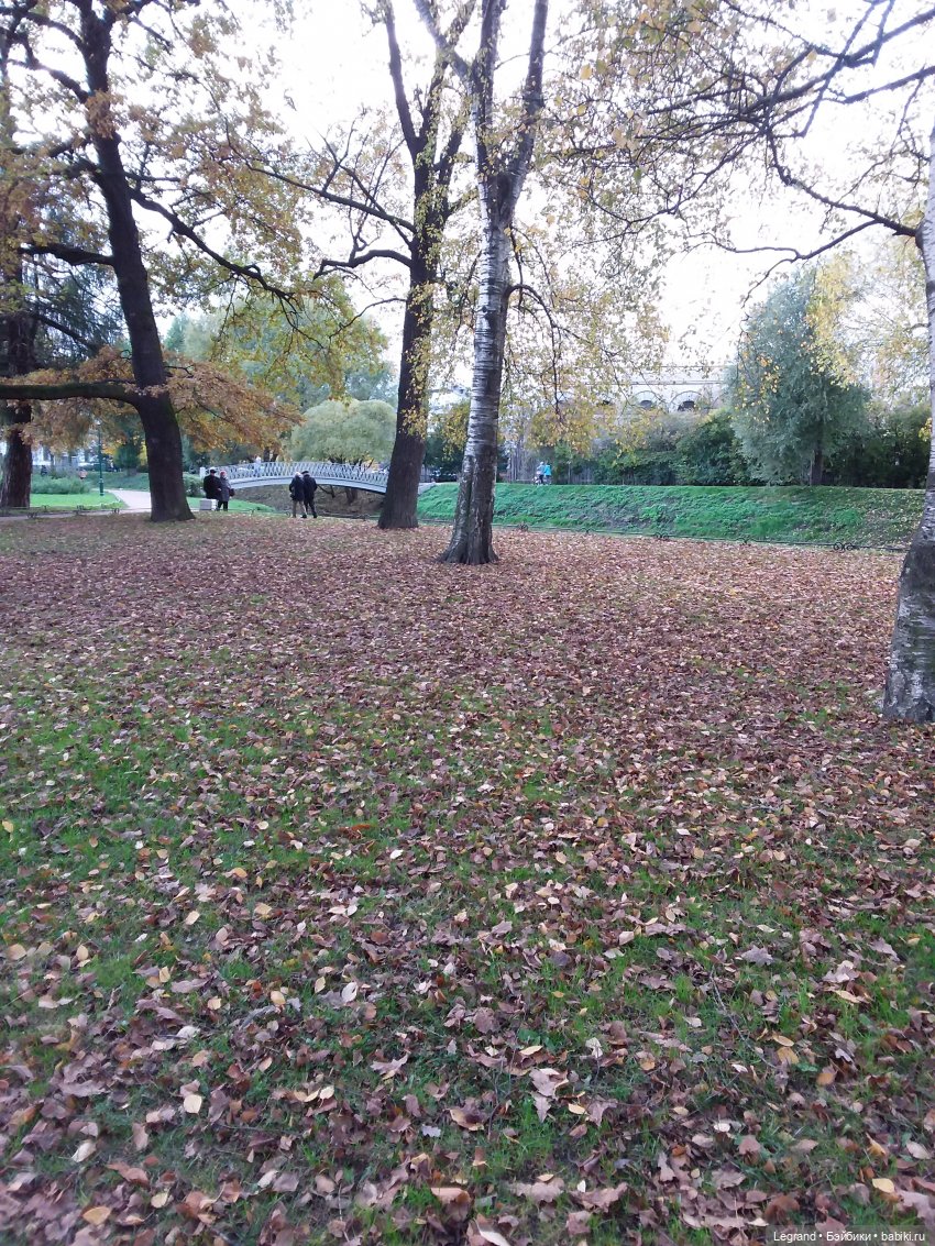 Амбруаз. Осенняя прогулка | Бэйбики Амбруаз. Осенняя прогулка