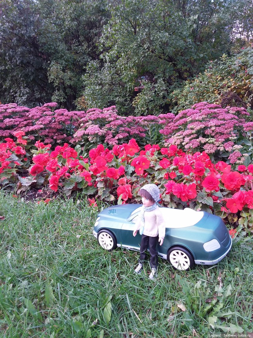 Амбруаз. Осенняя прогулка | Бэйбики Амбруаз. Осенняя прогулка