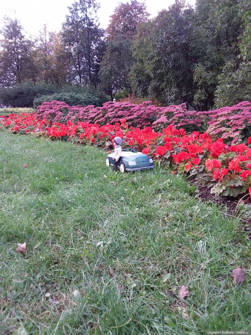 Амбруаз. Осенняя прогулка | Бэйбики Амбруаз. Осенняя прогулка