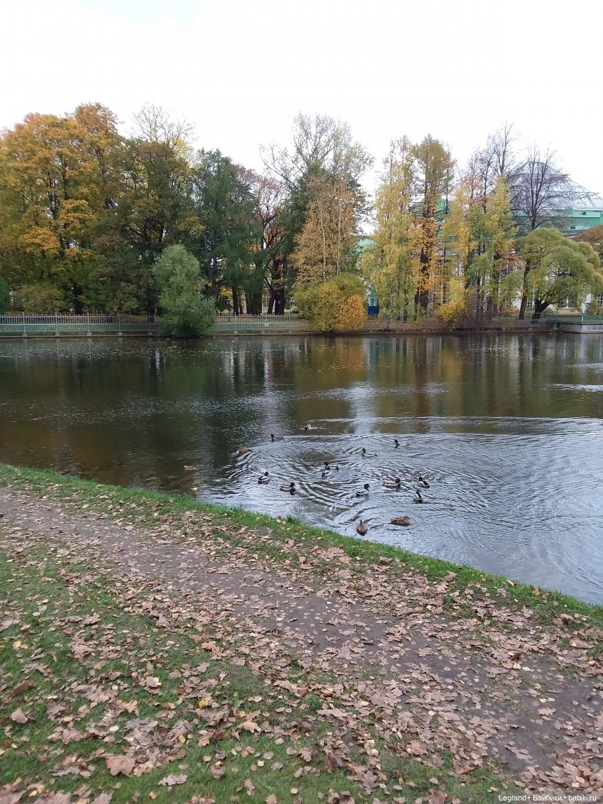 Амбруаз. Осенняя прогулка | Бэйбики Амбруаз. Осенняя прогулка