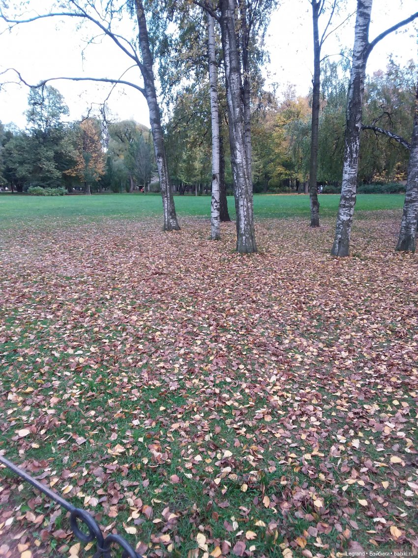 Амбруаз. Осенняя прогулка | Бэйбики Амбруаз. Осенняя прогулка