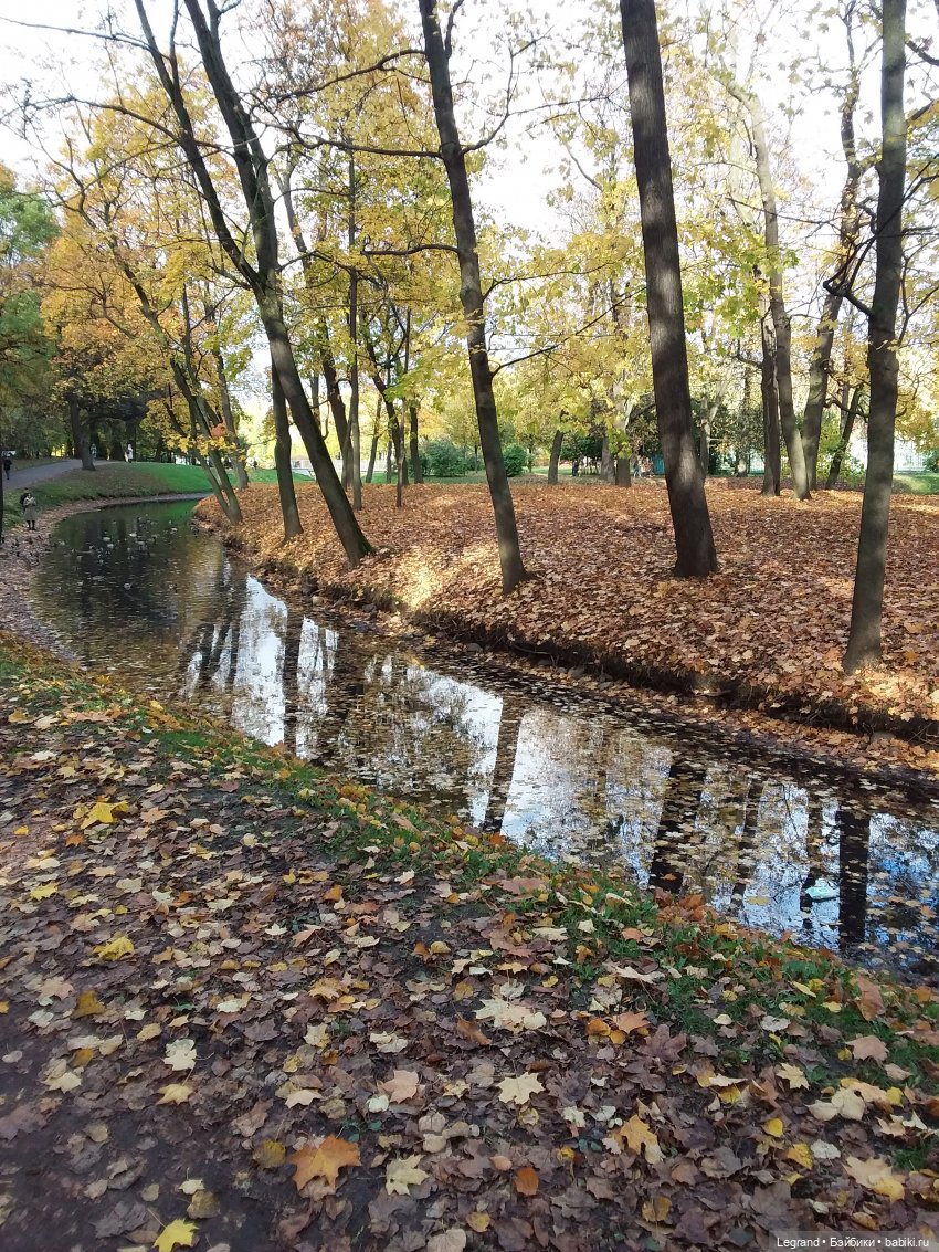 Амбруаз. Осенняя прогулка | Бэйбики Амбруаз. Осенняя прогулка (фото 6)