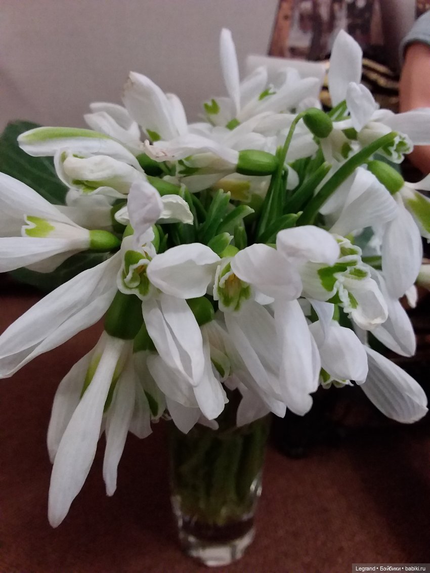 Они сами пишут свои истории: сестра Коринны:) Сирин и Дориан. И немного о Лестате