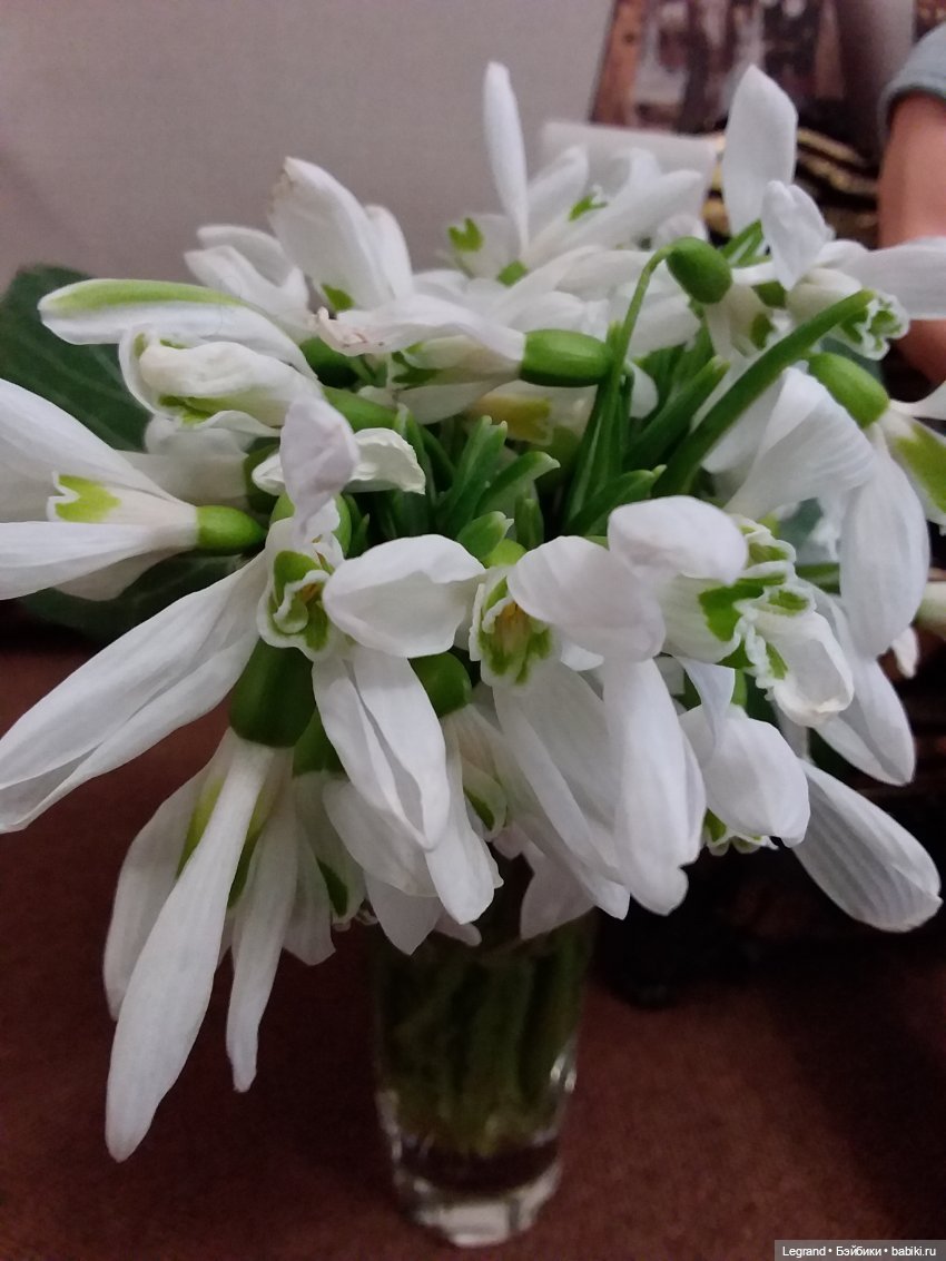 Они сами пишут свои истории: "Дождик за окнами..." Стихи Лестата (фото 3)