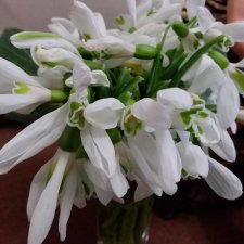 Они сами пишут свои истории: "Дождик за окнами..." Стихи Лестата