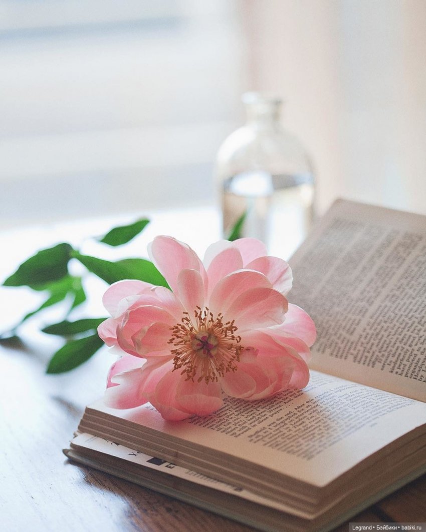 Они сами пишут свои истории: "Девочка - солнечный свет..." (фото 3)