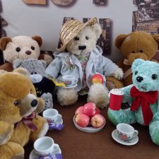 Мишки на пикнике: Пембе и другие