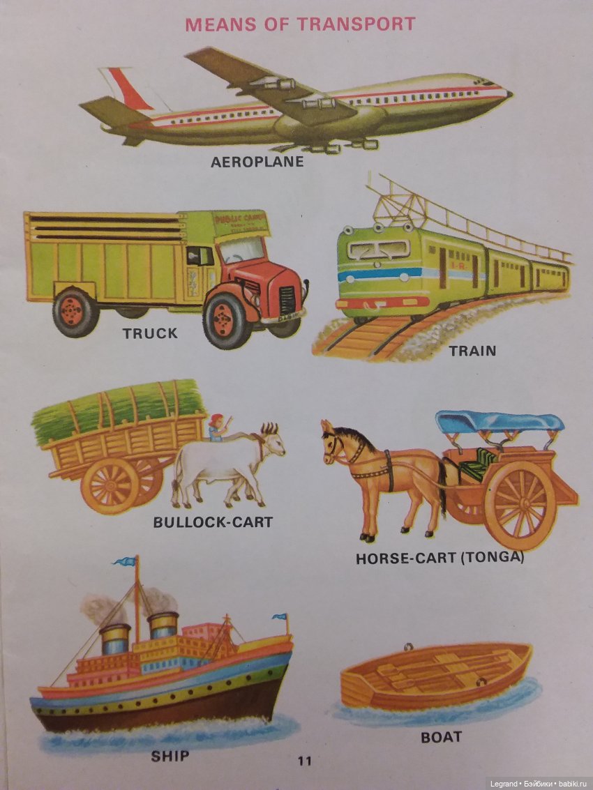 Продолжаю играть с мишками: Гри читает мои детские книжки и отдыхает у бассейна