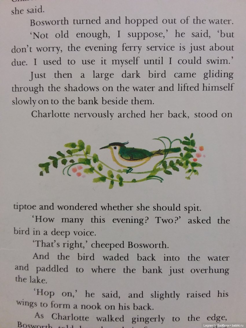 Продолжаю играть с мишками: Гри читает мои детские книжки и отдыхает у бассейна